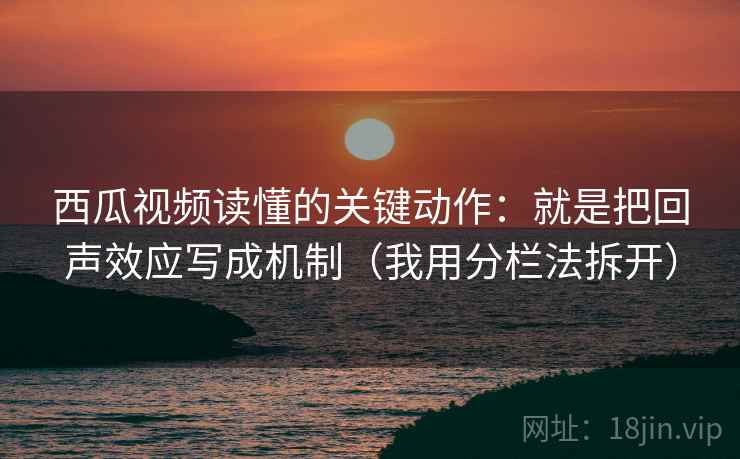 西瓜视频读懂的关键动作：就是把回声效应写成机制（我用分栏法拆开）